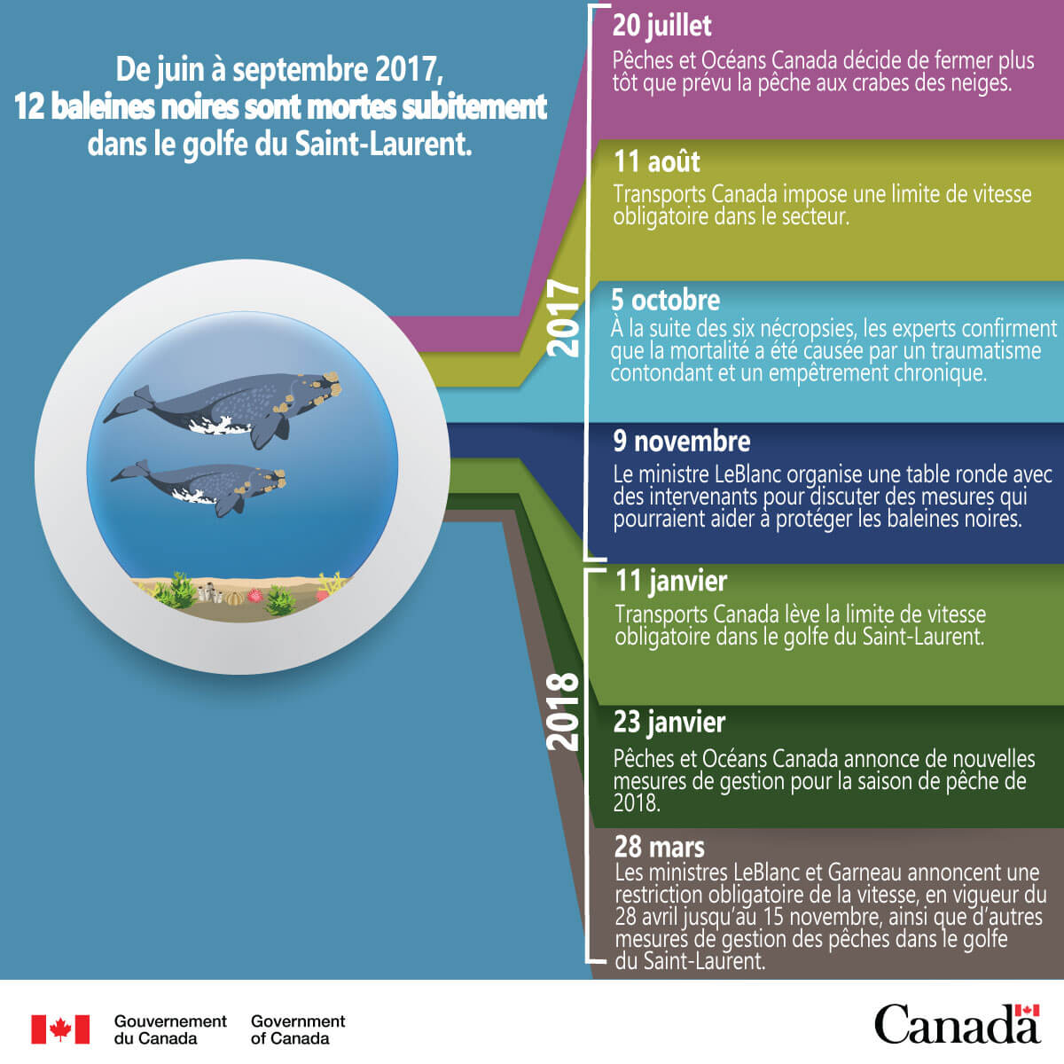 Calendrier du gouvernement du Canada : De juin à septembre 2017, 12 baleines noires sont mortes sans explication dans le golfe du Saint-Laurent.